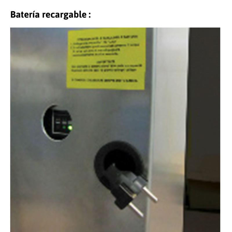 Escada com plataforma e avião de carga elétrico PICK FARAONE