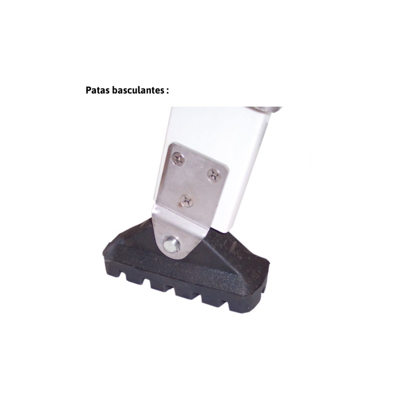 Escalera extensible de fibra y 2 tramos 10+10 peldaños 2TFVE Faraone