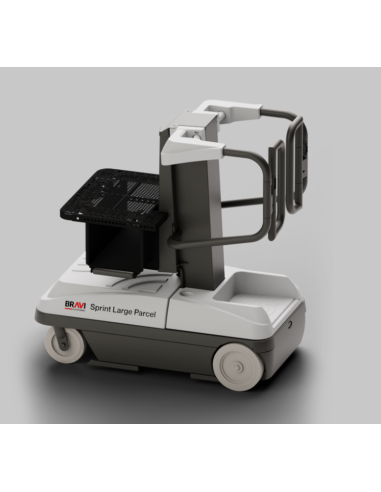 Plataforma elevadora Bravi SPRINT Large Parcels